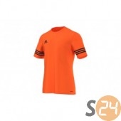 Adidas PERFORMANCE entrada jersey Focimez F50488