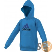 Adidas Pulóver Yb ess l hood M31395